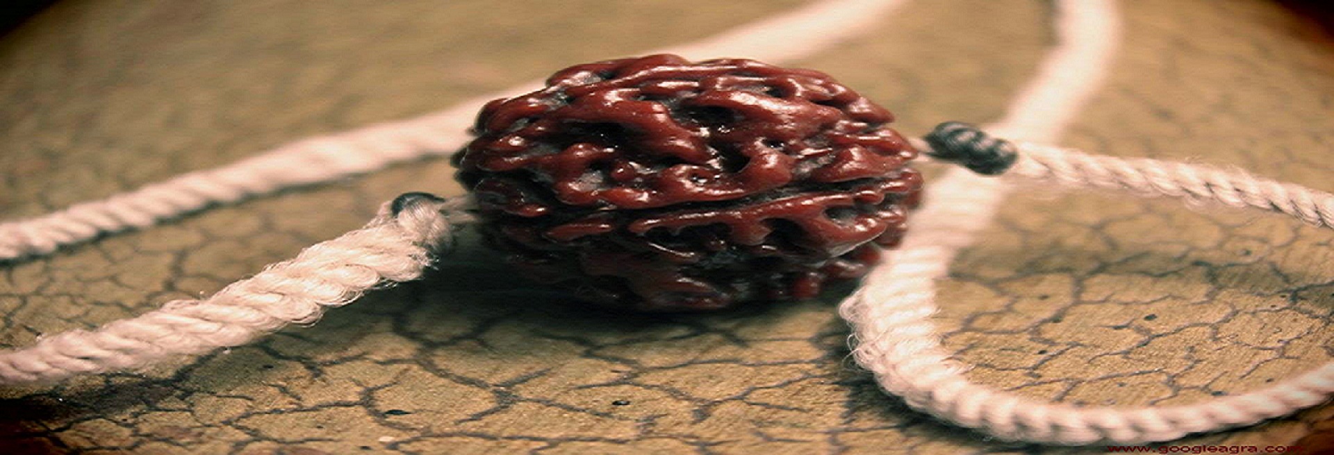 <span>Agate</span> Export